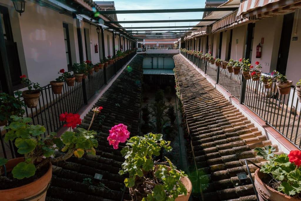 Apartamento Con Encanto En Patio Sevillano 외부 사진