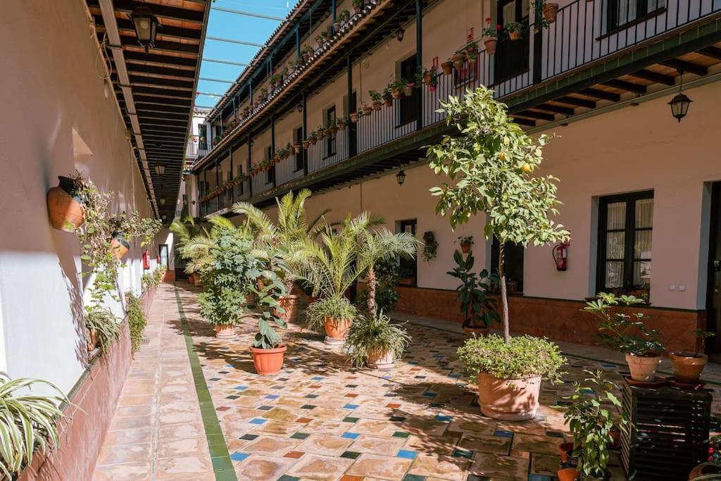 Apartamento Con Encanto En Patio Sevillano 외부 사진